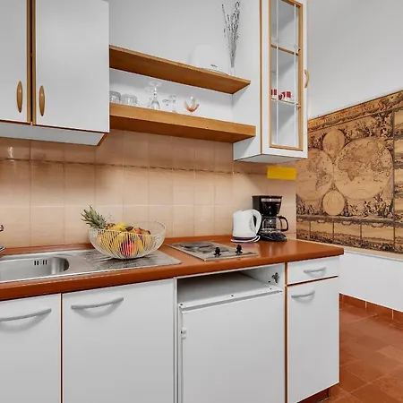 Apartmán Paunovic *
