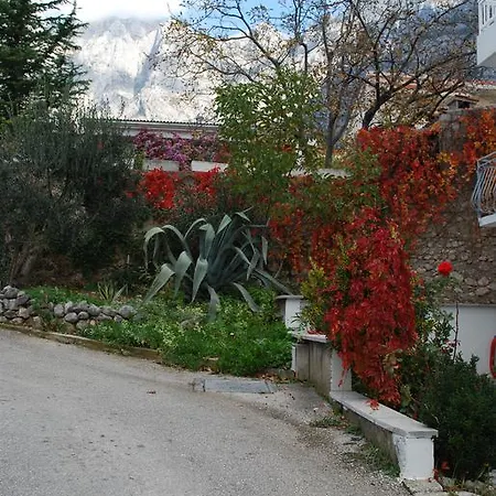 Paunovic Apartmán *