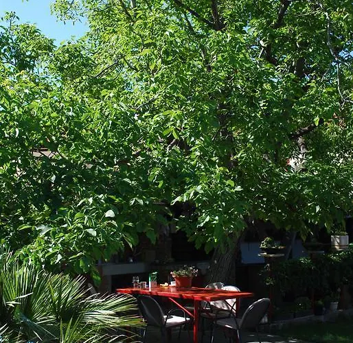Paunovic Makarska