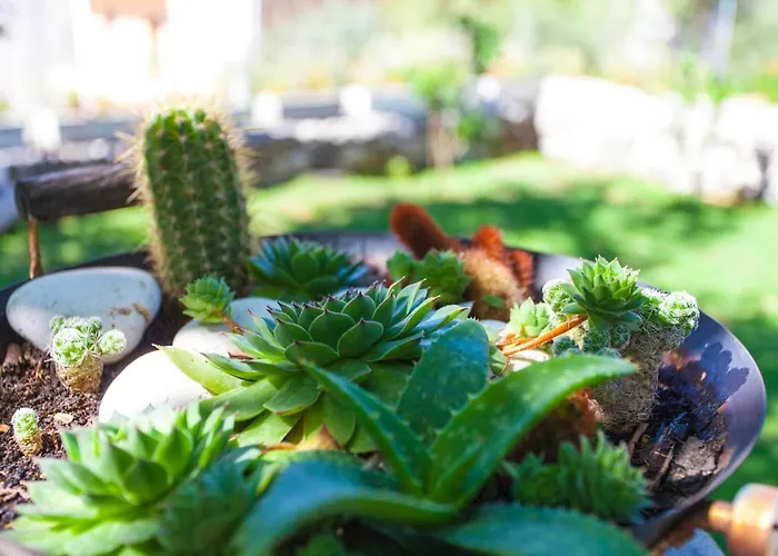 Appartement Paunovic *