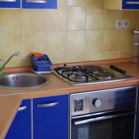 Apartamento Paunovic *