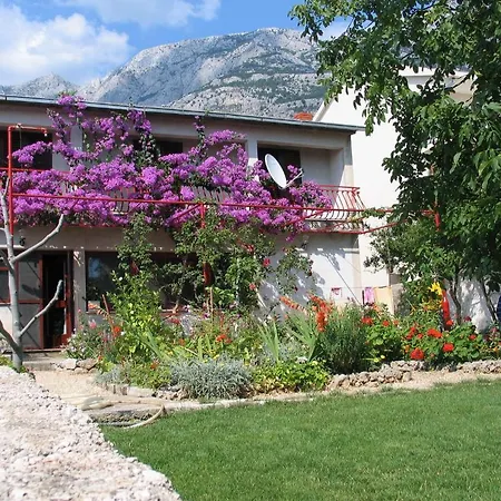 Paunovic * Makarska