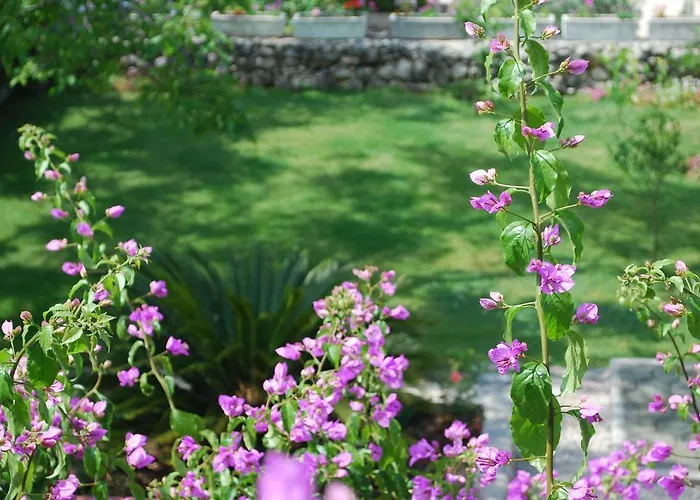 Apartamento Paunovic Makarska