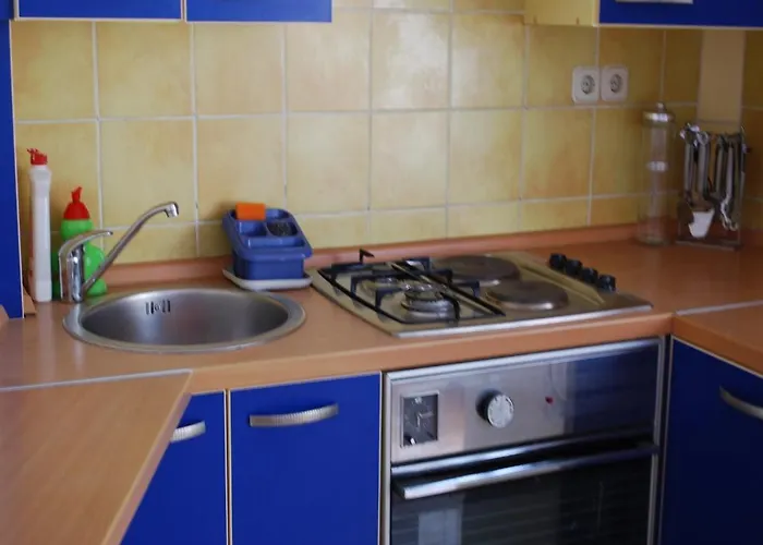 Apartamento Paunovic *